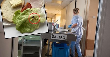 Matka oburzona kolacją 2-latka. Opublikowała zdjęcia w sieci