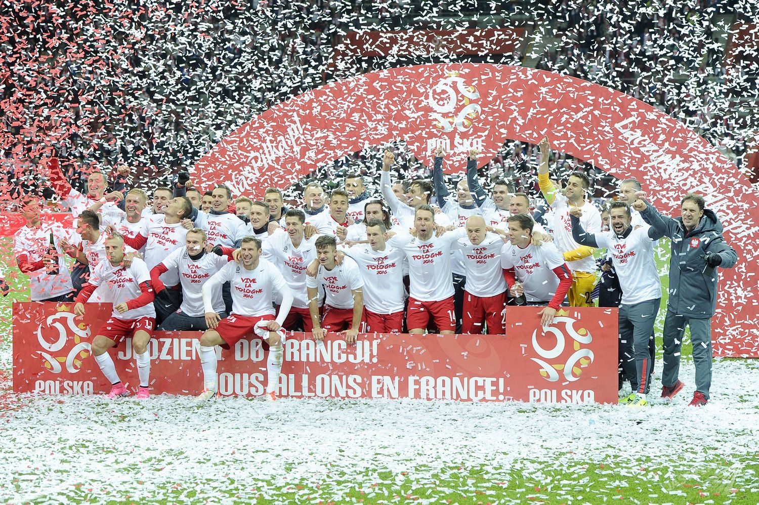 Rekordowa oglądalność meczu Polska-Irlandia