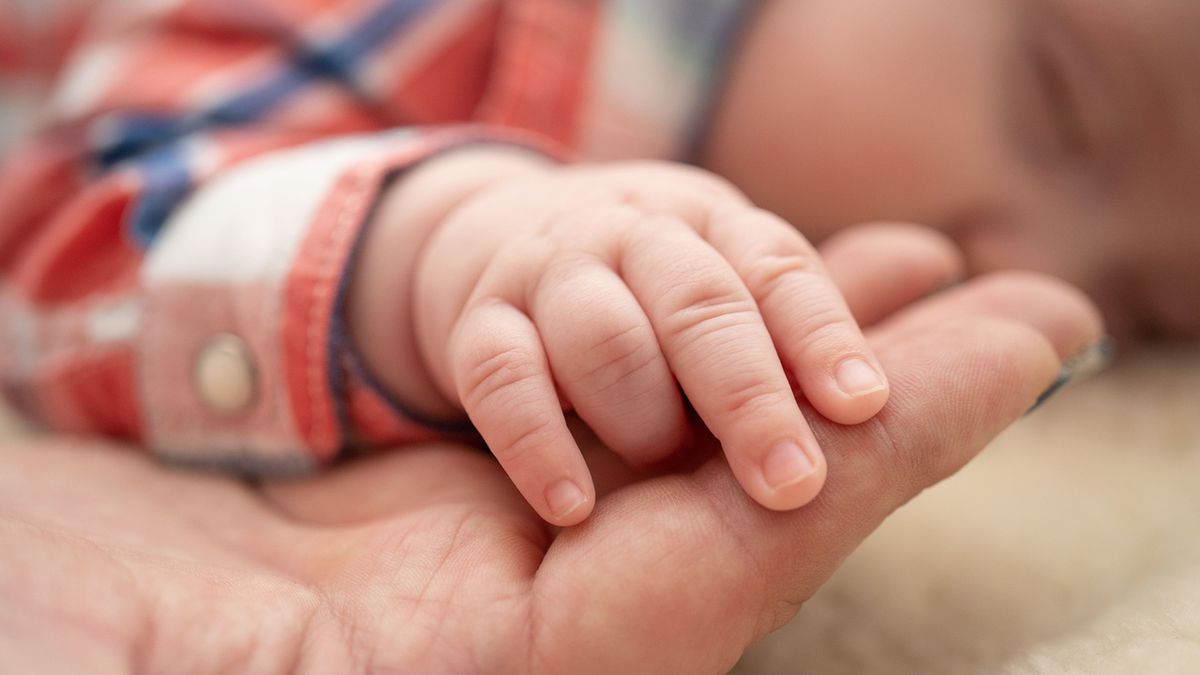 Zgłoszenie dziecka do ZUS to obowiązek rodzica lub opiekuna prawnego.