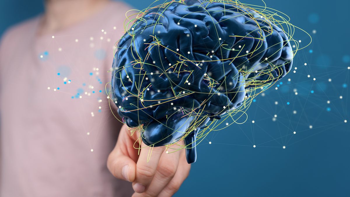 Revitanerw, Revitanerw Max i Revitanerw Junior wspierają układ nerwowy.