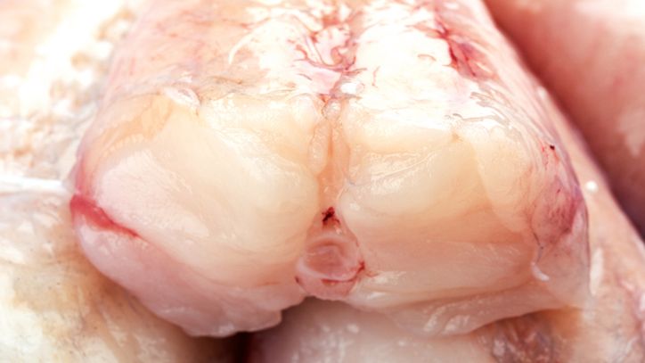 Miętus ma niewiele ości i obłędnie smakuje. Jest wolna od toksyn i zanieczyszczeń