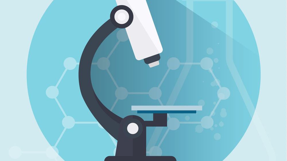 Biopsja polega na wycięciu fragmentu tkanki narządu bądź guza