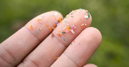Mikroplastik przyspiesza miażdżycę. Ta grupa jest najbardziej narażona
