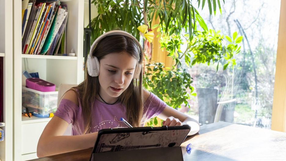 "Świtezianka" - streszczenie ballady Adama Mickiewicza