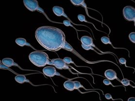 Jakość spermy w Europie. Polacy nie wypadają najlepiej