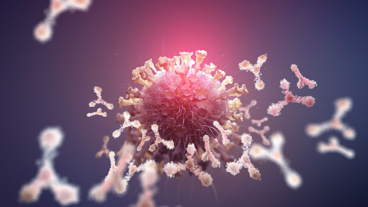 Antygeny cechuje zróżnicowana budowa chemiczna