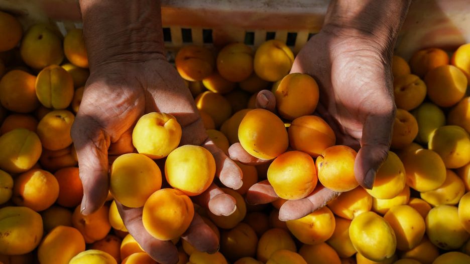Właśnie zaczął się sezon. Jedz, a skóra ci podziękuje