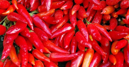 Zalety spożywania papryczek jalapeno