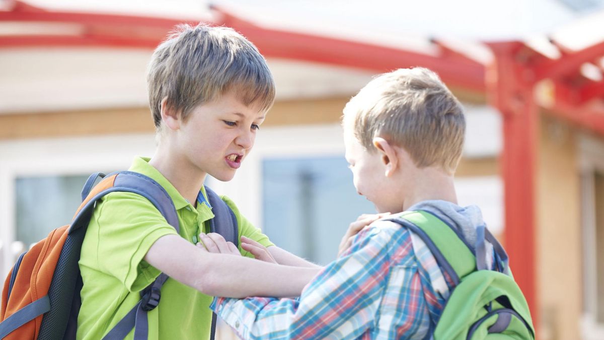 Agresja i zaburzenia lękowe