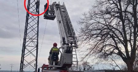 Afera w szkole. Nauczyciel wspiął się na słup energetyczny