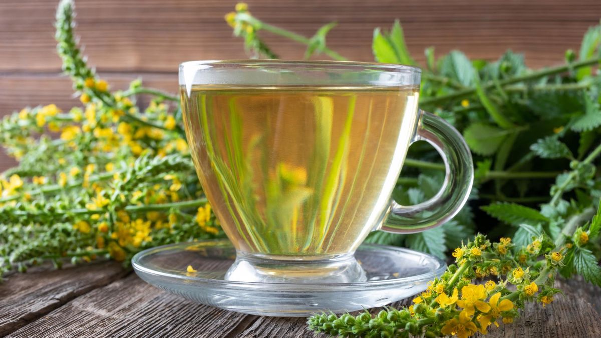 Rzepik pospolity ma wiele właściwościach prozdrowotnych.