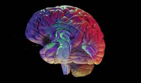 Migotanie przedsionków a udar mózgu (WIDEO)