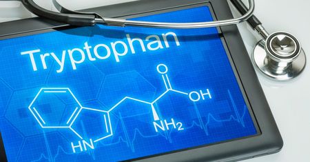 Tryptofan – właściwości, niedobór, nadmiar, dawkowanie i wpływ na odchudzanie