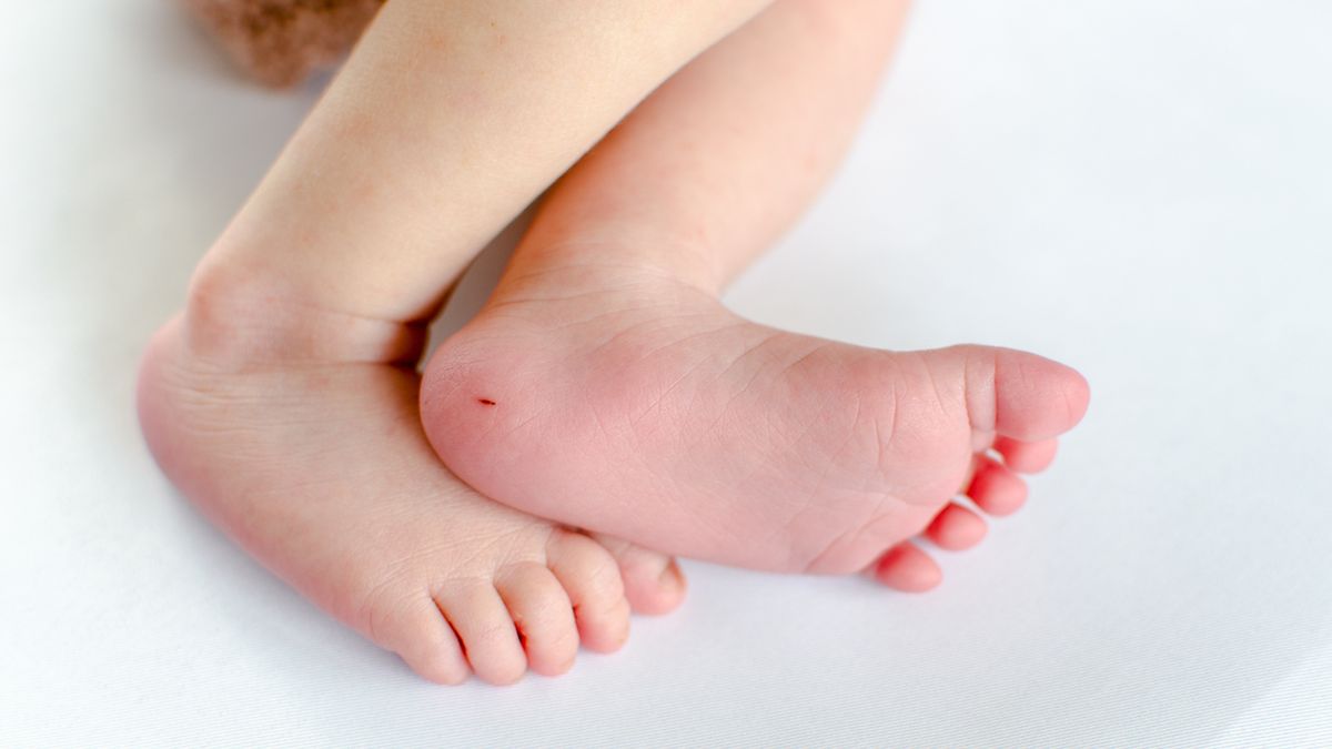 Choroba Niemanna-Picka może być rozpoznana na podstawie wyników badania krwi.