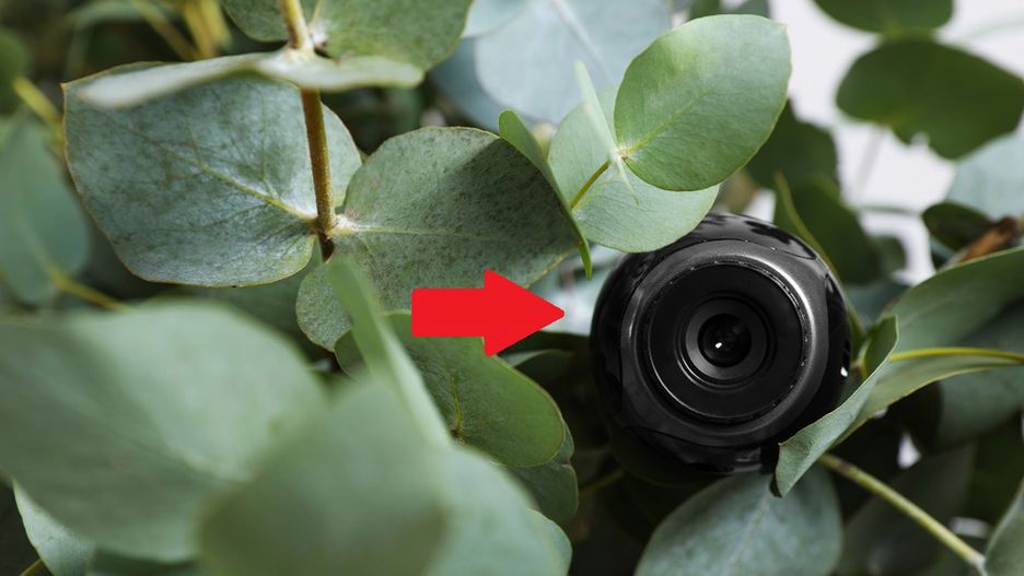 Uważaj na ukryte kamery