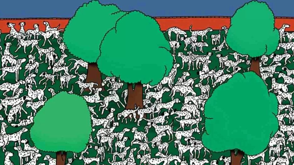 Masz tylko 8 sekund. Zagadka na spostrzegawczość z dalmatyńczykami