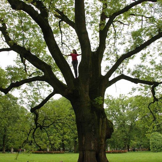 Cecylia Malik - przeciwo nowej ustawie rządu