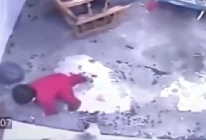 Kot ruszył jak błyskawica. Nie ma wątpliwości - jego zamiarem było uratowanie dziecka