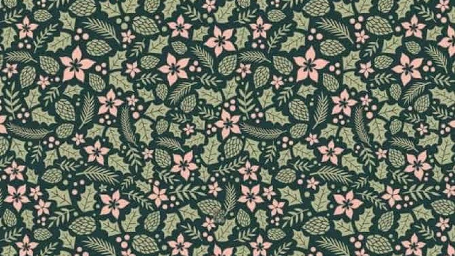 Wśród świątecznej roślinności ukryła się choinka. Potrafisz ją wskazać w 8 sekund?