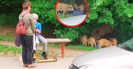 Wszystko się nagrało. Wystarczyła chwila nieuwagi