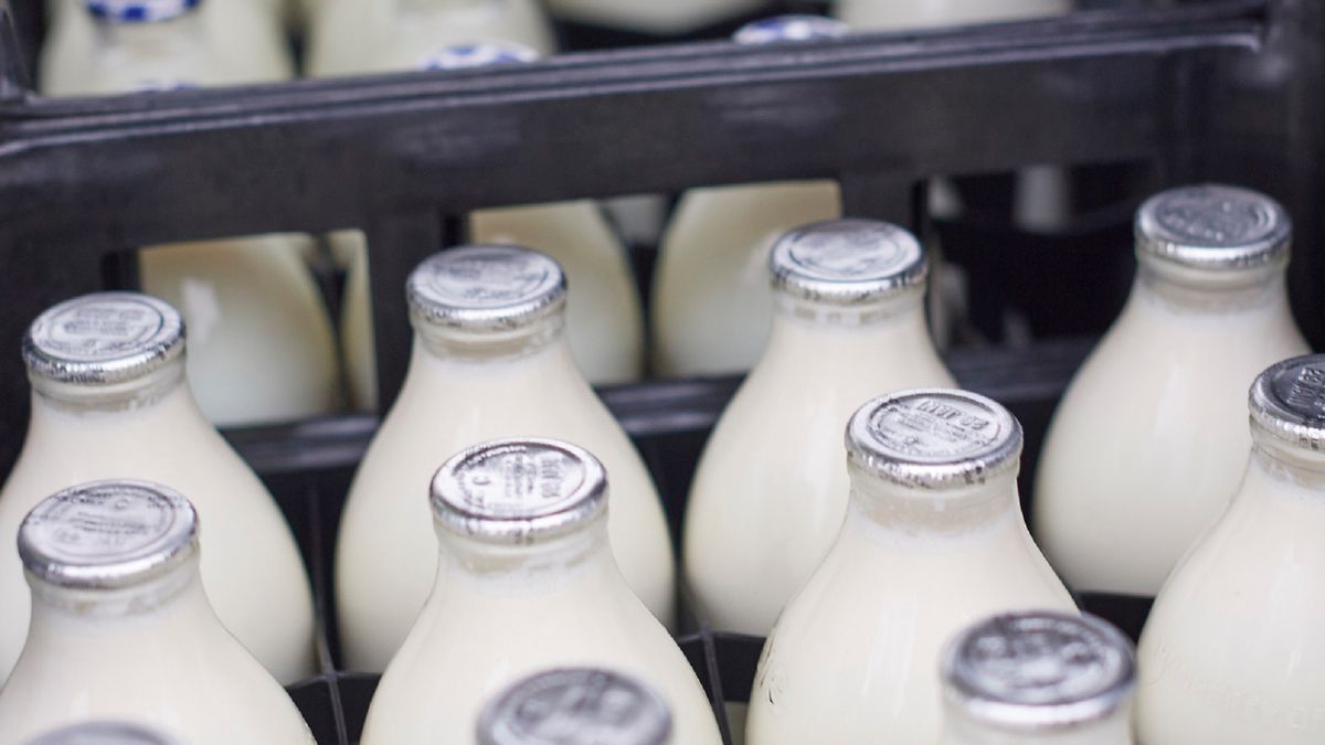 Jakie mleko jest najzdrowsze?