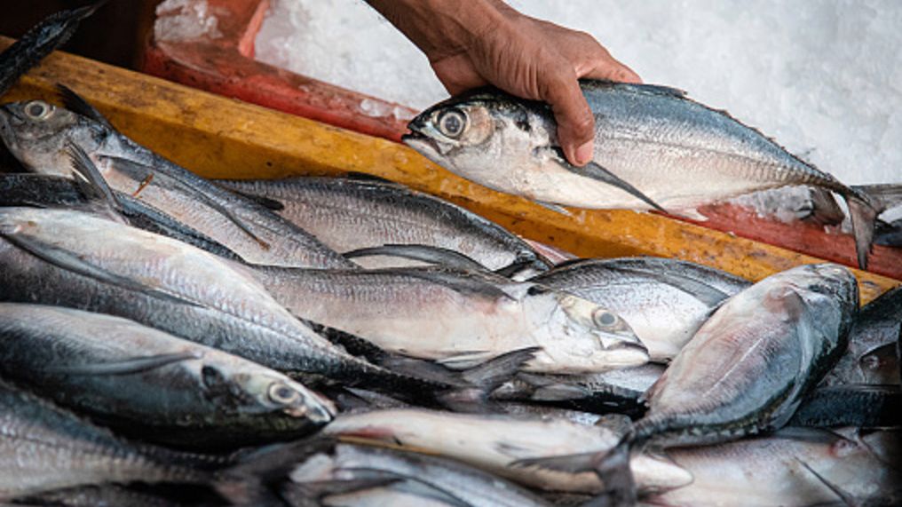 Jak grill, to i ryba? Dietetycy wyjaśniają, jakie ryby i owoce morza najlepiej omijać