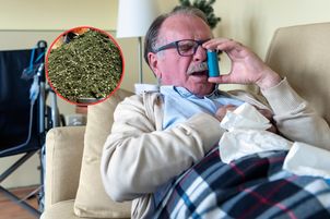 Leczy przeziębienie, reguluje trawienie i przyspiesza gojenie się ran. Właściwości hyzopu lekarskiego