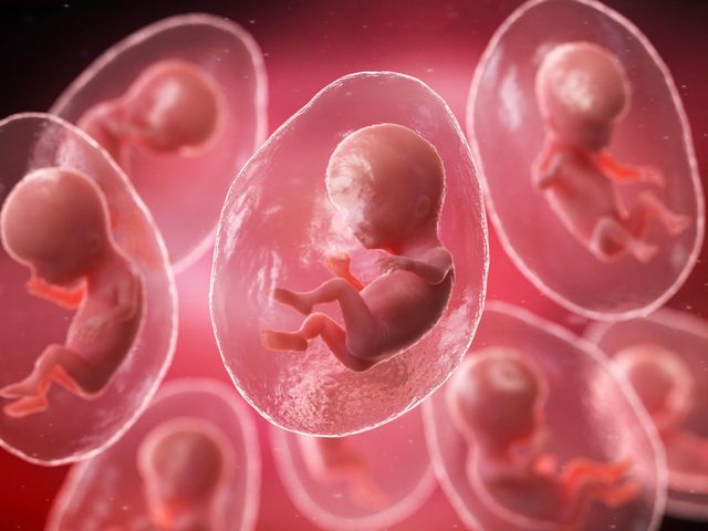 Błony płodowe otaczają rozwijający się w macicy płód.