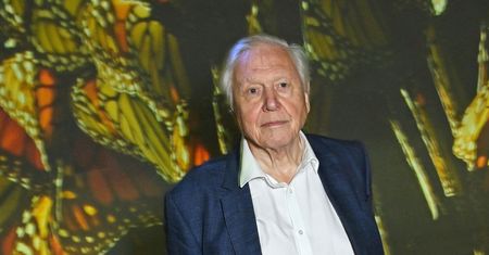 David Attenborough ma 97 lat. Sekretem długowieczności jest ograniczenie tych składników