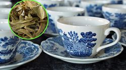 Czerwona herbata Pu'erh. Dlaczego warto pić nawet 2 filiżanki dziennie?