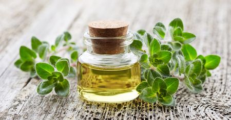 Olejek z oregano dla dzieci - jak stosować i kiedy warto?