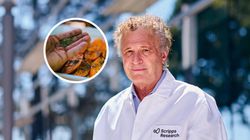 Może chronić przed alzheimerem. "Zwiększyliśmy liczbę synaps w mózgu"