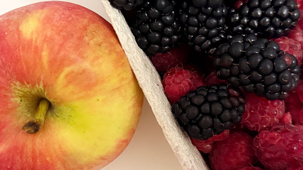 Kluczowa jest urozmaicona dieta, która łączy różne konsystencje, smaki i kolory.