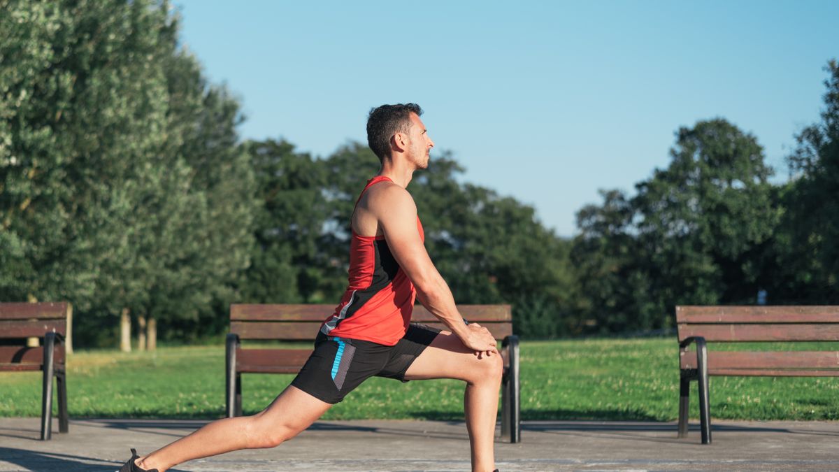 Mięsień krawiecki, inaczej musculus sartorius to najdłuższy mięsień w ciele człowieka, mierzący około 50 centymetrów.