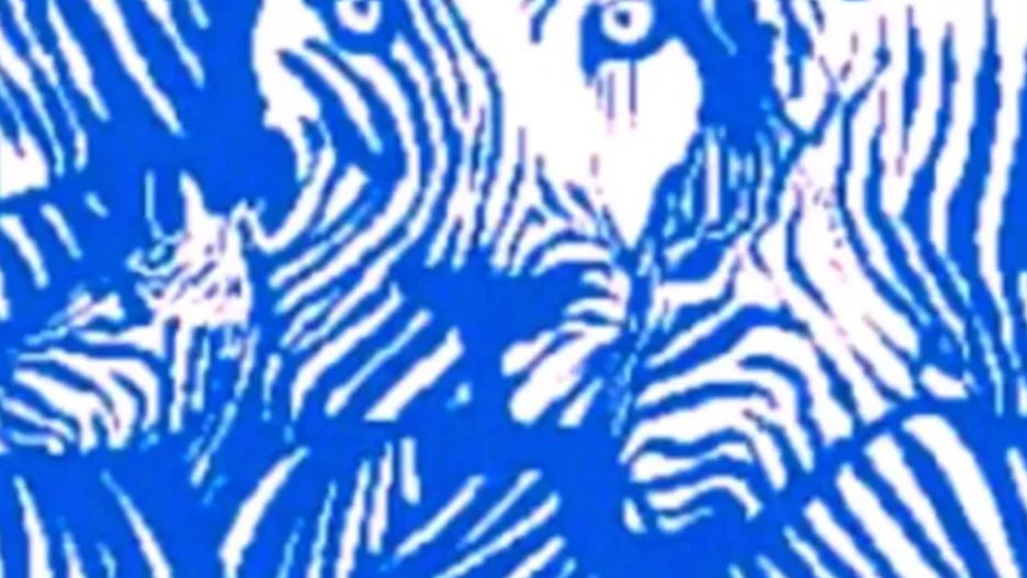 Introwertyk czy ekstrawertyk? Wystarczy spojrzeć na obrazek