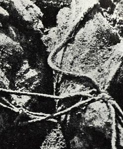 Sowieckie sztuczki i Chatyń, czyli Katyń, którego nie było