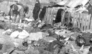 ''Kłym Sawur'' – rzeźnik z Wołynia