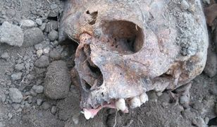 Marcin Michalski: Rozkopywanie i okradanie grobów nie jest w Polsce marginalnym zjawiskiem