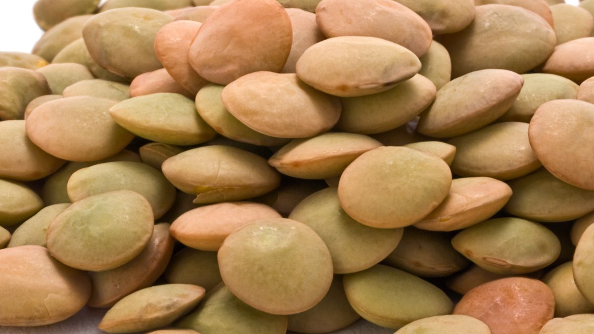 Chleb z soczewicy jest smaczny i zdrowy