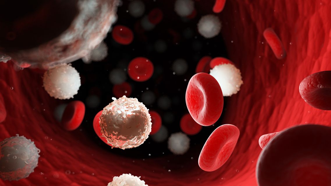 Mielodysplazja szpiku