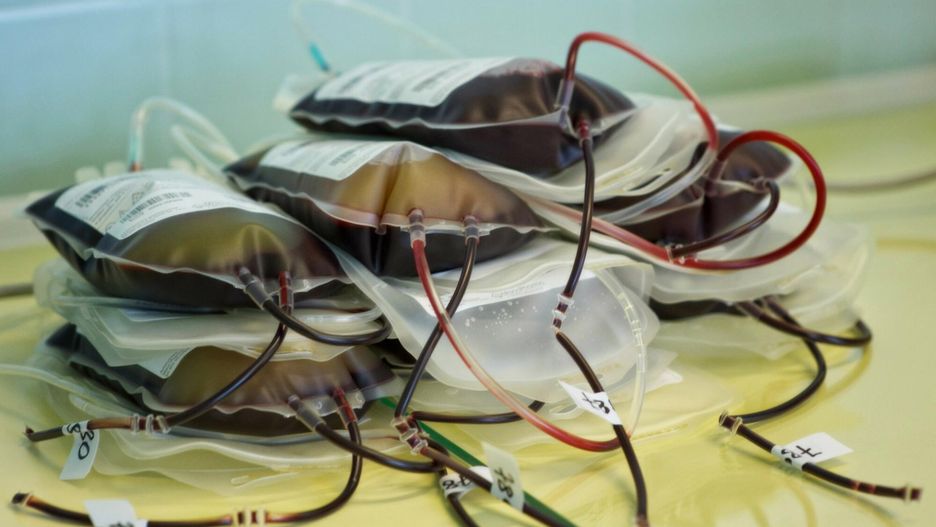 Grupa krwi jest dziedziczna, ale mechanizm w przypadku "złotej krwi" jest nieco inny