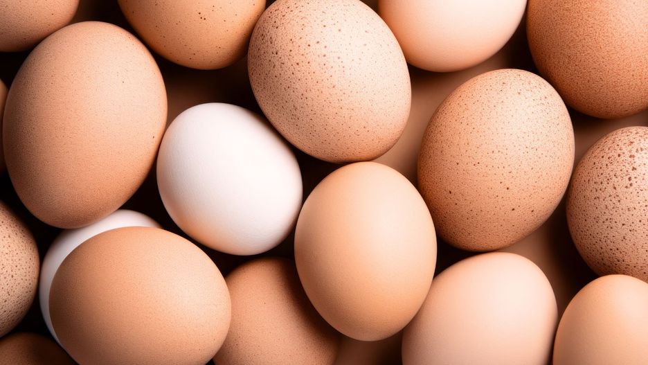 Białe czy brązowe? Tak wybierzesz najlepsze jajka