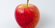 10 powodów, dla których warto jeść jabłko każdego dnia