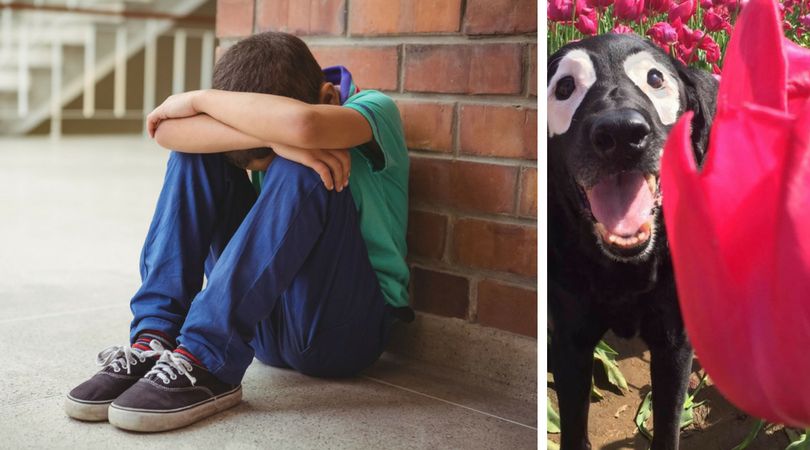 Smutny   chłopiec / 123rf