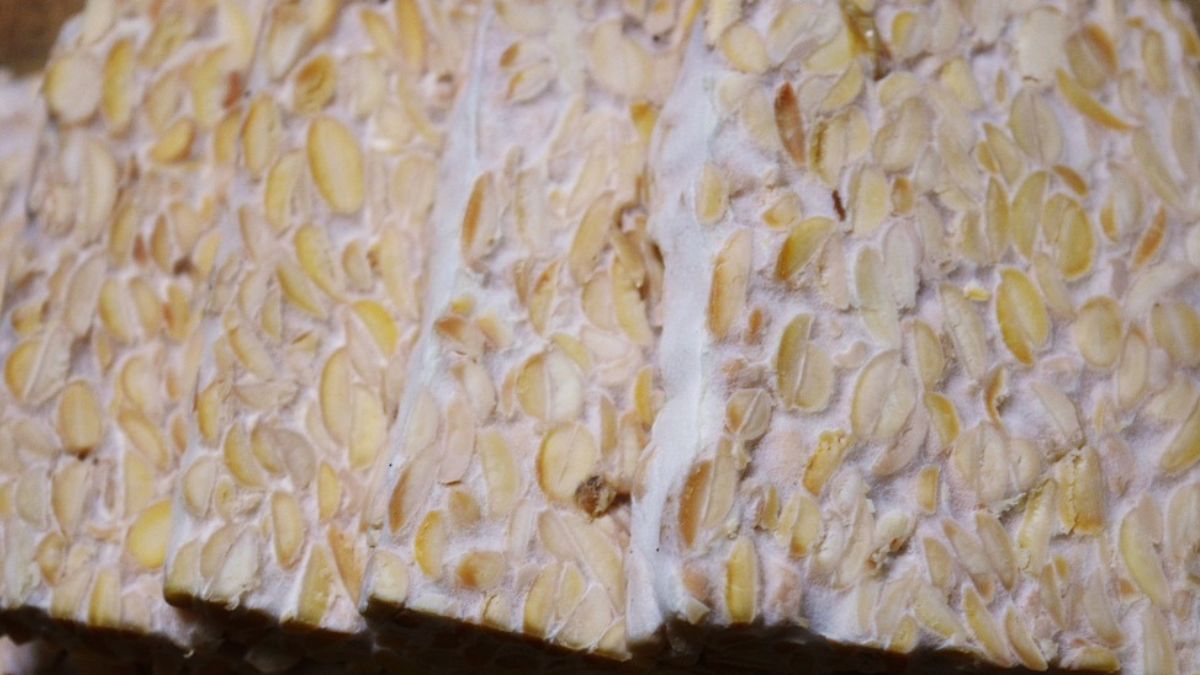 Tempeh to roślinna alternatywa dla mięsa, pełna białka, błonnika oraz witamin i minerałów.