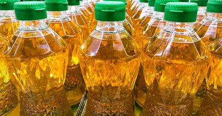 Petycja w sprawie oleju palmowego w żywności w Sejmie. Czy da się go czymś zastąpić?