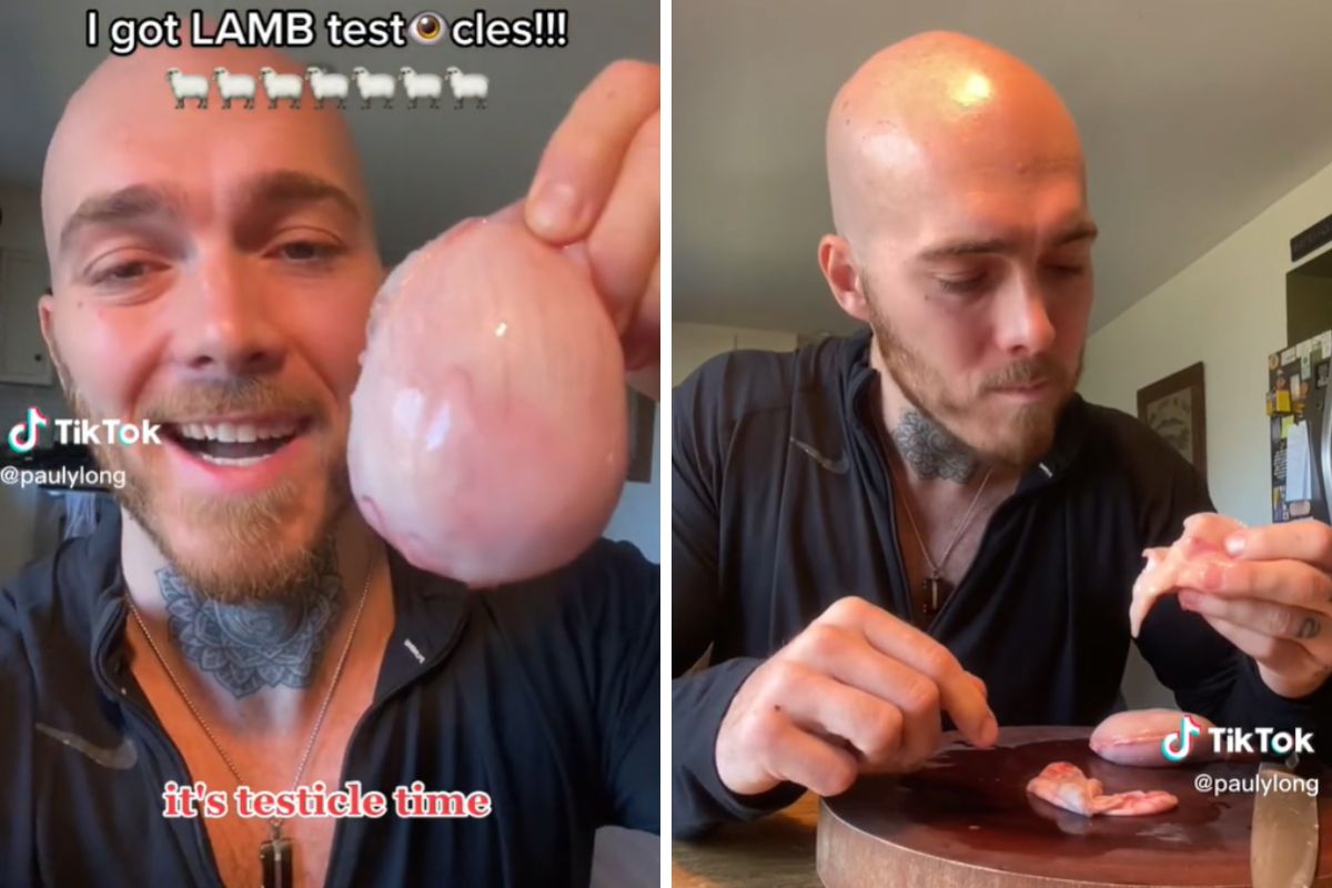 Surowe mięso i podroby stanowią podstawę jego diety