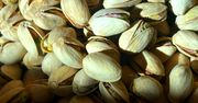 Często jedli pistacje. Naukowcy podają, jakie mieli wyniki badań