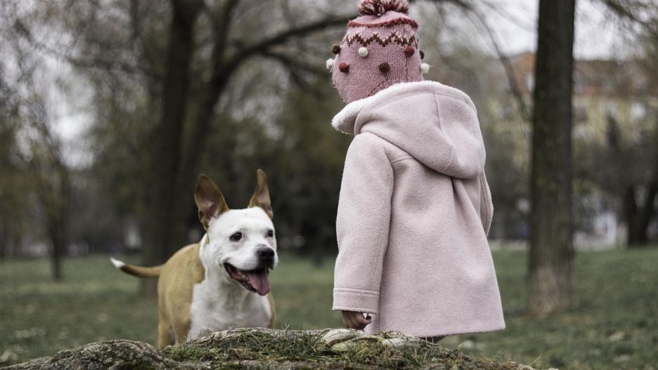 Jakie rasy psów nie będą najlepszym towarzystwem do domu z dziećmi?