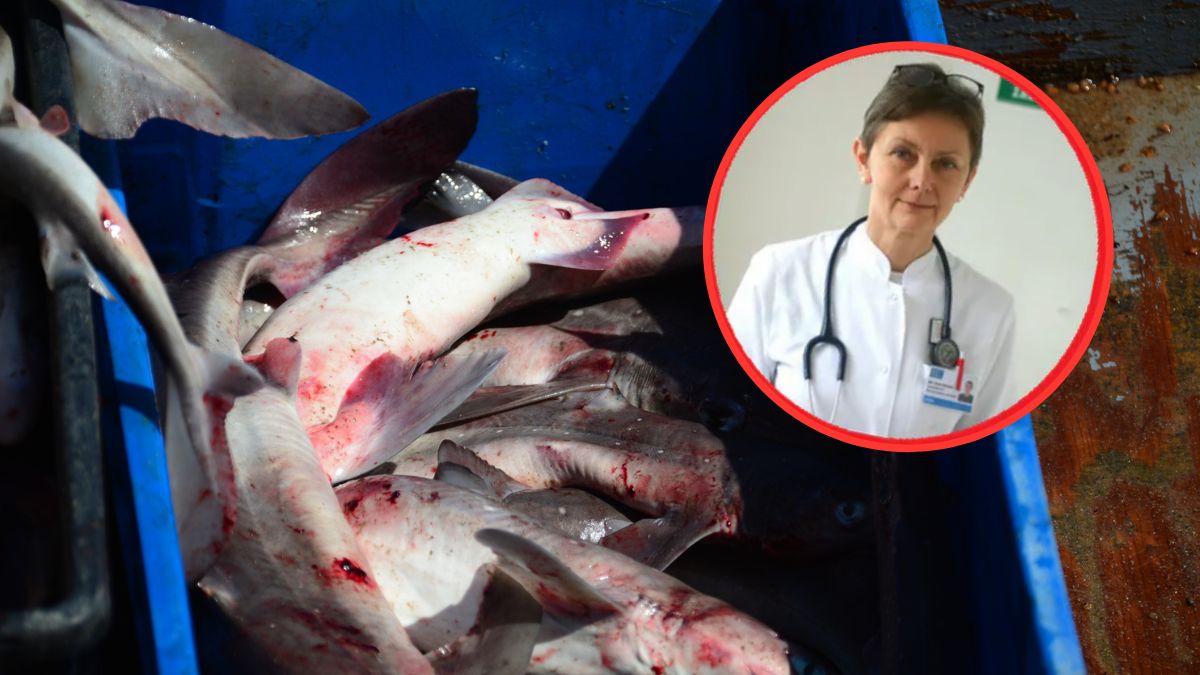 Czym jest choroba Zalewu Wiślanego?